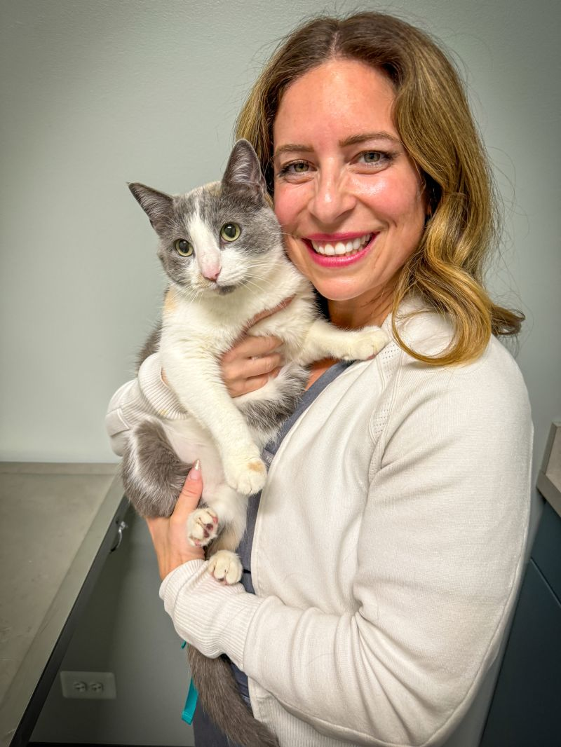 Press Release: Dr. Natalie Marks Joins OpenVet as Chief Veterinary Officer